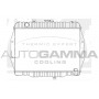 102902 AUTOGAMMA Радіатор охолодження двигуна