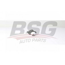 BSG 60-310-290 BSG Шарнір незалежної підвіски поворотного важеля