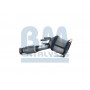 BM80276H BM CATALYSTS Катализатор
