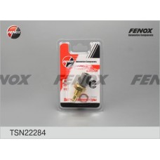 TSN22284 FENOX Датчик температура охолоджувальної рідини