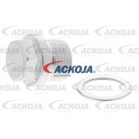 A63-0018 ACKOJA Різьбова пробка, Масляний піддон