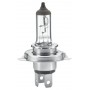 8GJ 002 525-251 HELLA Лампа розжарювання, Основна фара