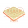 121-20120 IAP QUALITY PARTS Повітряний фільтр