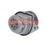 T0248 KAMOKA Водяний насос охолодження двигуна