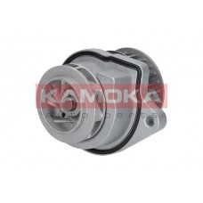 T0248 KAMOKA Водяний насос охолодження двигуна