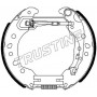 6496 TRUSTING Комплект гальмівних колодок