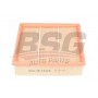 BSG 15-135-007 BSG Повітряний фільтр
