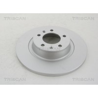 8120 101013C TRISCAN Гальмівний диск