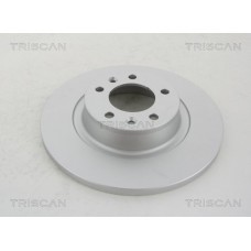 8120 101013C TRISCAN Гальмівний диск