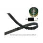 DKT-4513 KAVO PARTS Комплект ременя ГРМ