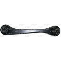 SSW1165.01 OPEN PARTS Ричаг незалежної підвіски колеса, подвеска колеса