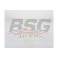BSG 60-551-002 BSG Компенсаційний бак охолоджувальна рідина