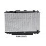 RDA153171 JAPANPARTS Радіатор охолодження двигуна