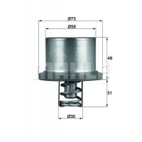 WG1217545 WILMINK GROUP Термостат охолоджувальна рідина
