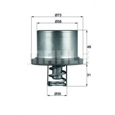 WG1217545 WILMINK GROUP Термостат охолоджувальна рідина