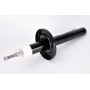 AHG016MT Magnum Technology Амортизатор