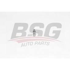 BSG 15-122-025 BSG Толкатель