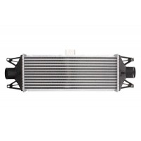 Интеркулер THERMOTEC DAE001TT