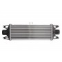 Интеркулер THERMOTEC DAE001TT