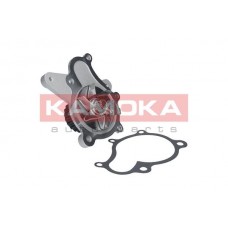 T0160 KAMOKA Водяний насос охолодження двигуна