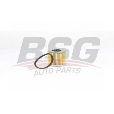 BSG 75-130-011 BSG Паливний фільтр