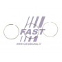 FT47393/0 FAST Комплект поршневих кілець