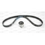 TBK5148.01 OPEN PARTS Комплект ременя ГРМ