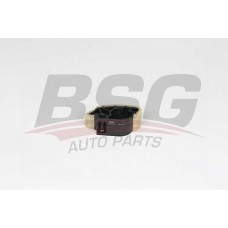 BSG 60-109-028 BSG Планка успокоювача ланцюг приводу