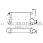 101912 AUTOGAMMA Интеркулер
