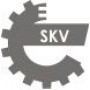 21SKV103 ESEN SKV Комплект цепи, привод масляного насоса