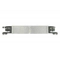 Интеркулер THERMOTEC DAX010TT