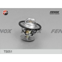TS051 FENOX Термостат охолоджувальна рідина