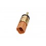 ECT-3005 KAVO PARTS Датчик температура охолоджувальної рідини