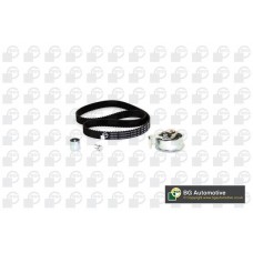 WG1487905 WILMINK GROUP Комплект ременя ГРМ