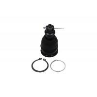 SBJ-2003 KAVO PARTS Шарнір незалежної підвіски поворотного важеля