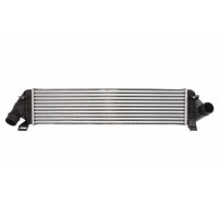 Интеркулер THERMOTEC DAV004TT