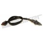 250-241175 WALKER PRODUCTS датчик кисню