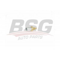 BSG 25-840-005 BSG Датчик температура охолоджувальної рідини