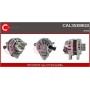 CAL35369GS CASCO Генератор