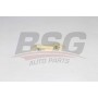 BSG 30-109-016 BSG Планка успокоювача ланцюг приводу