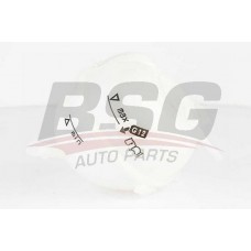 BSG 90-550-004 BSG Компенсаційний бак охолоджувальна рідина