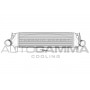 Интеркулер AUTOGAMMA 105369