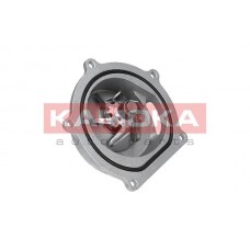 T0145 KAMOKA Водяний насос охолодження двигуна