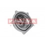 T0145 KAMOKA Водяний насос охолодження двигуна