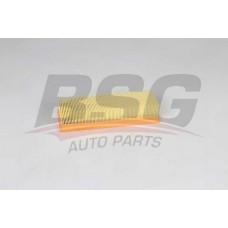 BSG 25-135-006 BSG Повітряний фільтр