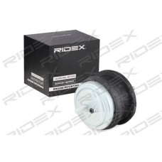 247E0053 RIDEX Підвіска двигун