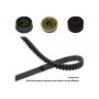 DKT-5545 KAVO PARTS Комплект ременя ГРМ