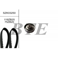 SZK03250 BTE Комплект ременя ГРМ