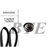 SZK03250 BTE Комплект ременя ГРМ