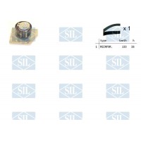 TK1336 Saleri SIL Комплект ременя ГРМ